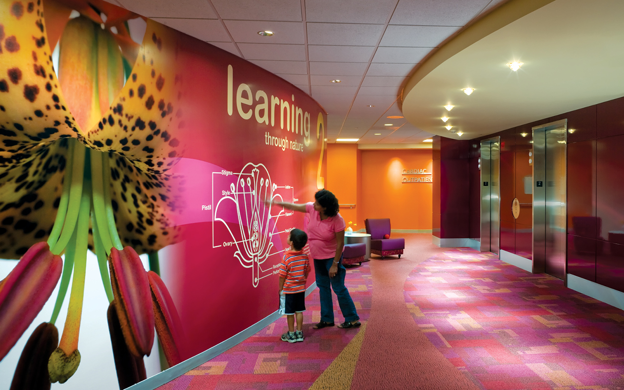 Stanley, Beaman & Sears Energize Healthcare Interiors