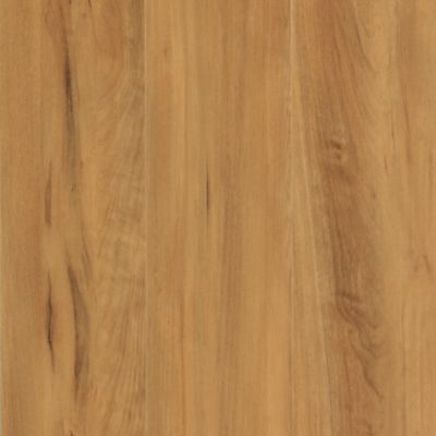 In Bound Luxury Vinyl Tile by Mohawk