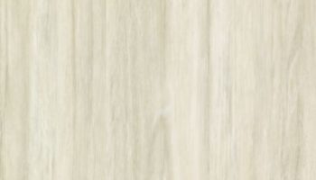 In Bound Luxury Vinyl Tile by Mohawk