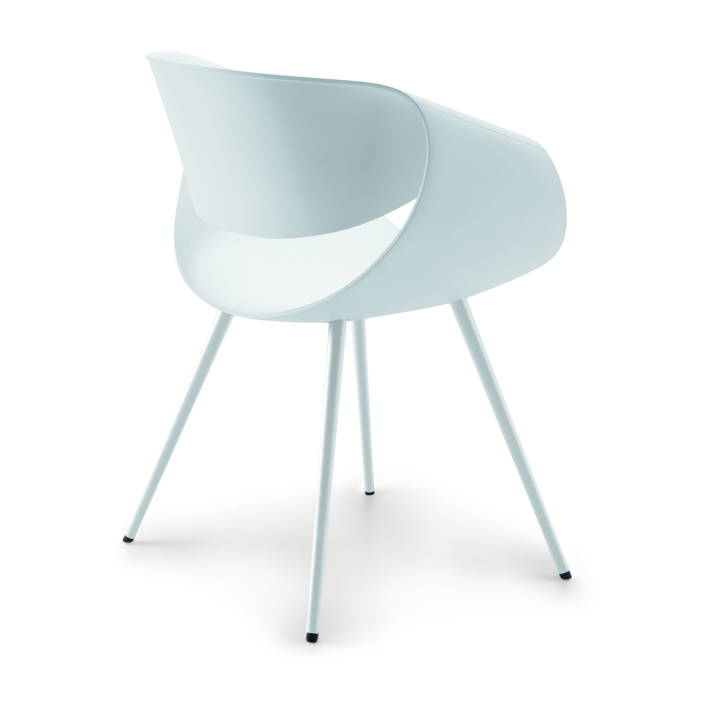 Little Perillo By Dauphin