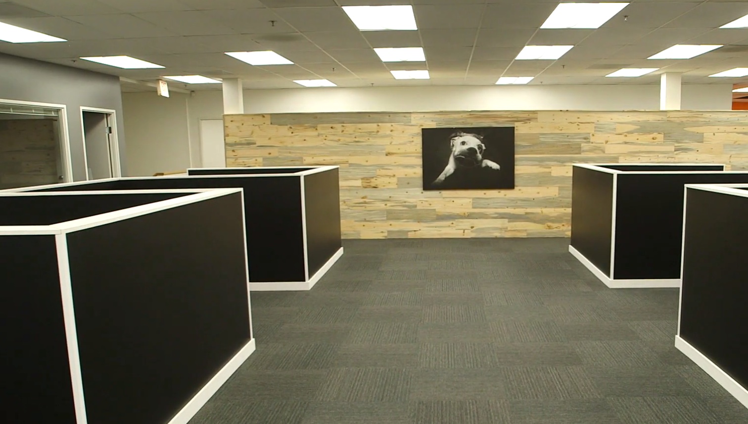 Emagispace Modular Wall Solution