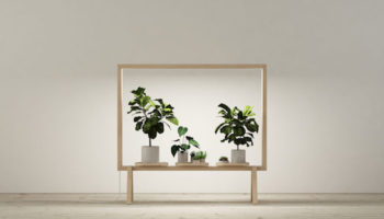GreenFrame Gives Interiors a Breath of Fresh Air