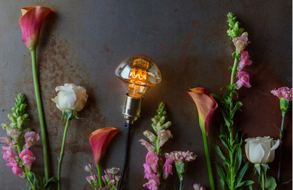 Lovely LED Filament Bulbs by Plumen