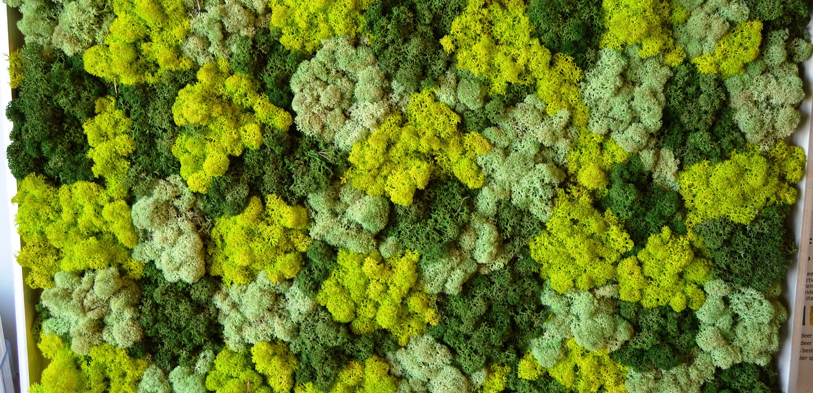Green Moss Panels by Green Up