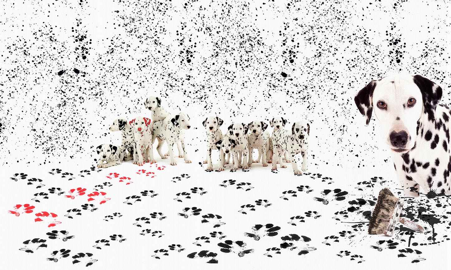 An Eco-Wise Surface Solution from Wallpepper