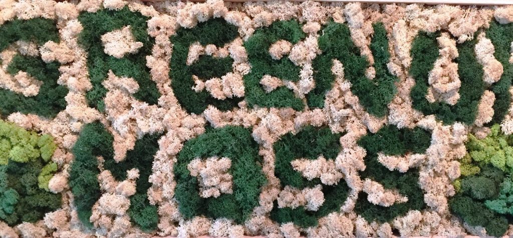 Green Moss Panels by Green Up