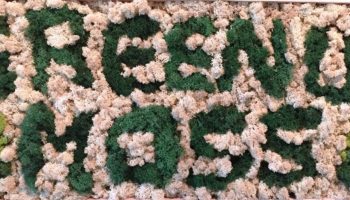 Green Moss Panels by Green Up