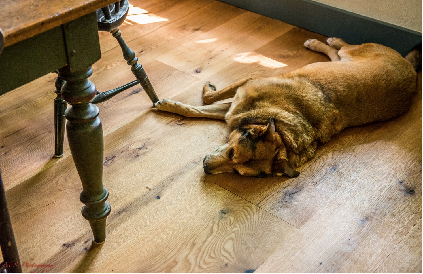 Sustainable Wood Flooring from Hull Forest Products