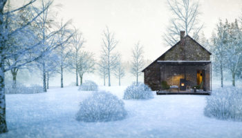 Have a Merry Christmas with an MCZ Wood Burning Stove
