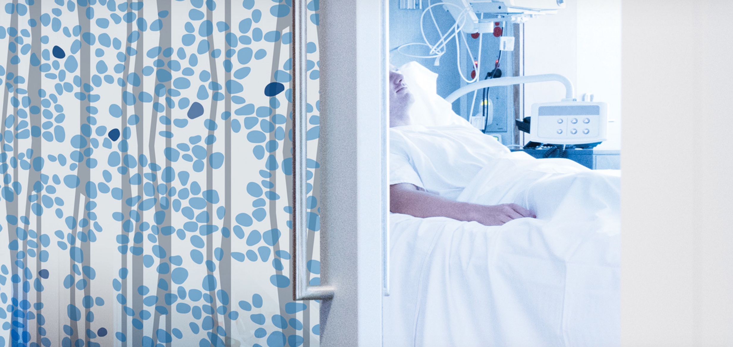 CAMAflage Glass in installation with patient