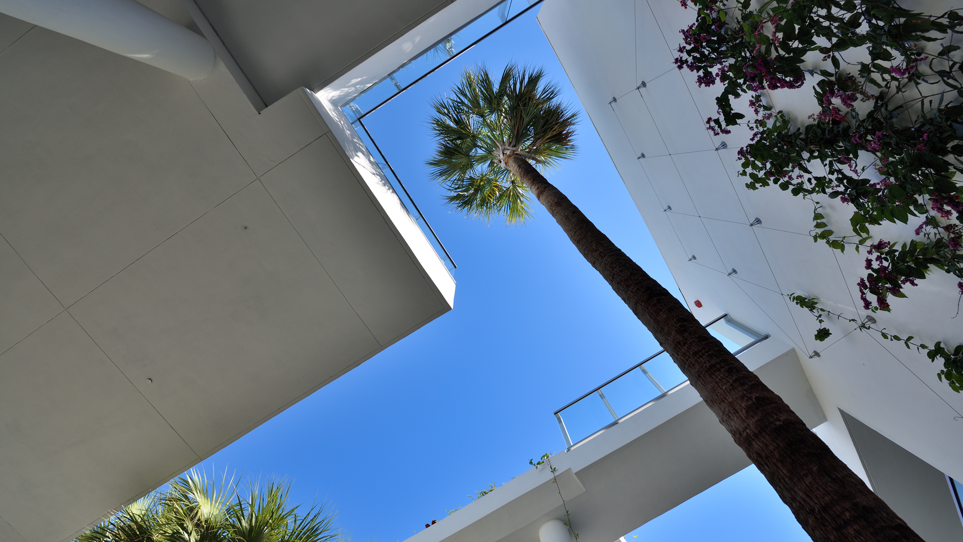 Kobi Karp Architecture Palau Sunset Harbor view from courtyard looking up