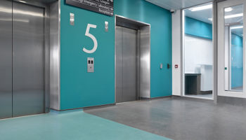 Gerflor's New Landscape Collection Is Grounded in Nature
