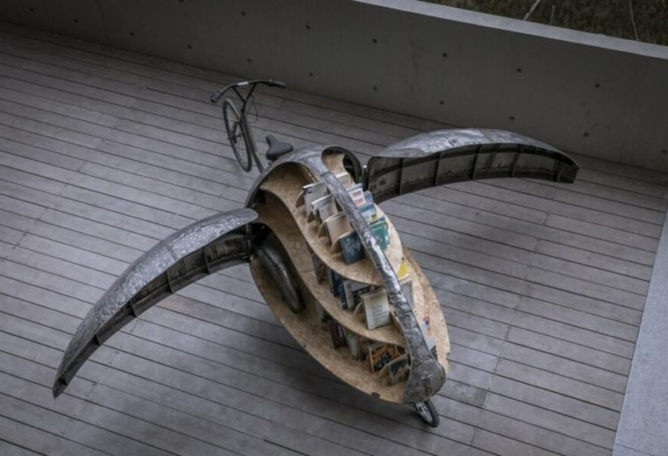 Luo Studio Shared Lady Beetle overhead view with wings open