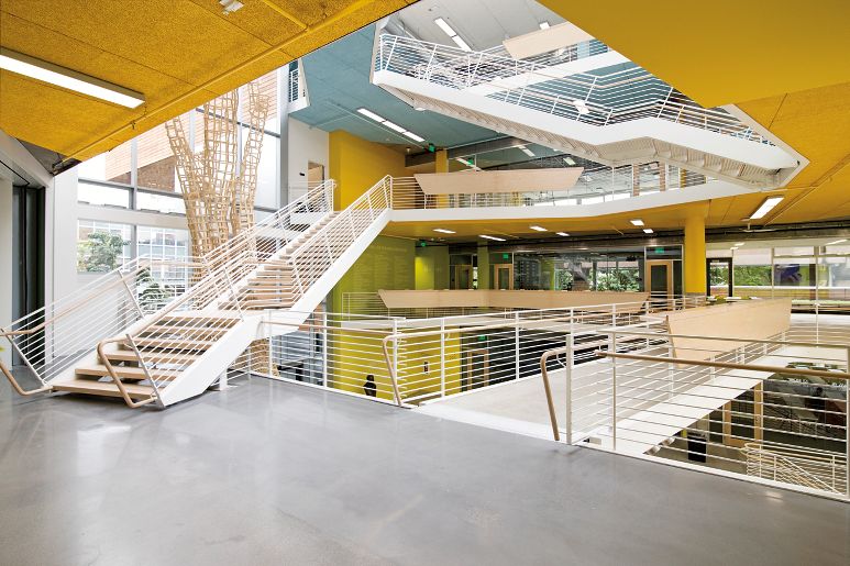 Armstrong Tectum ceiling panel yellow in atrium
