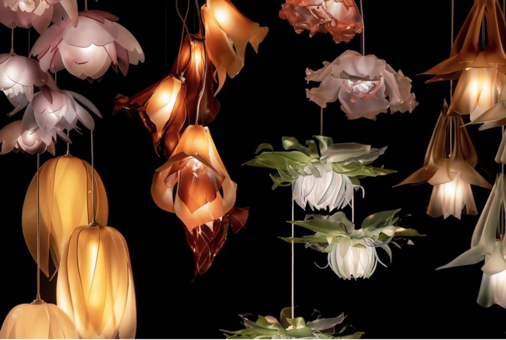 Beautiful Blossoms of Light Beautiful Blossoms of Light