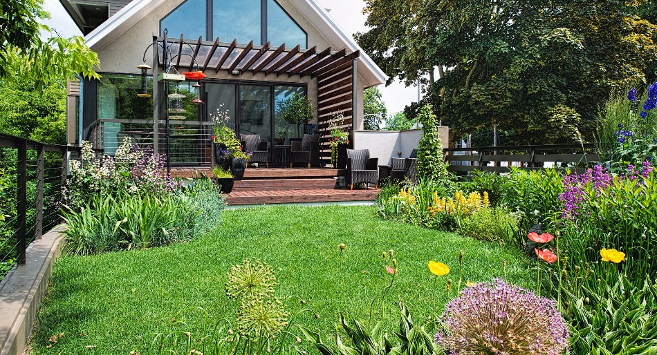 Hanging Gardens' Green Roofs at private residence with grass and perennials in front of nice home with large glass windows