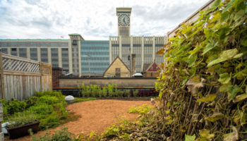 Hanging Gardens' Green Roofs