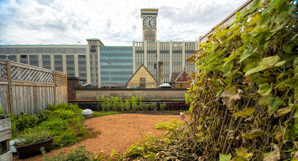 Hanging Gardens’ Green Roofs