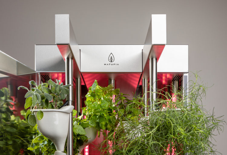 Natufia Kitchen Garden view of upper portion of unit with red lights in background and green plants in front