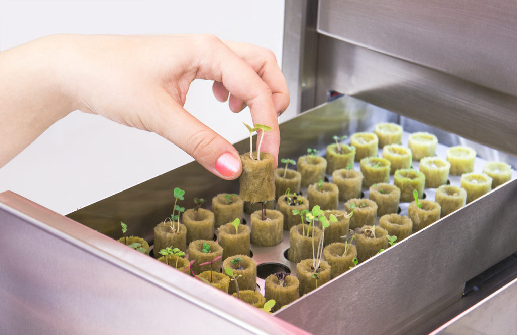 Natufia Kitchen Garden nursery feature with seedlings growing and a hand placing one down