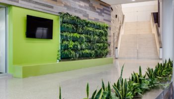 Creative Cladding from Windfall Lumber