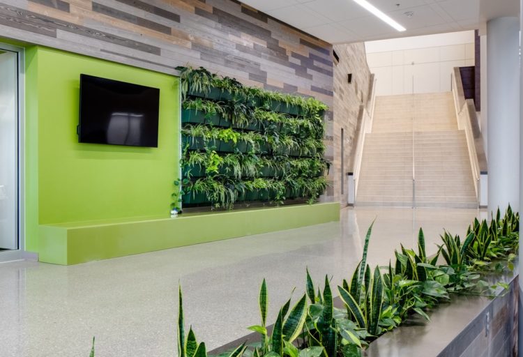 Windfall Lumber Color Cladding on wall with different colors above green brick wall in high school hallway