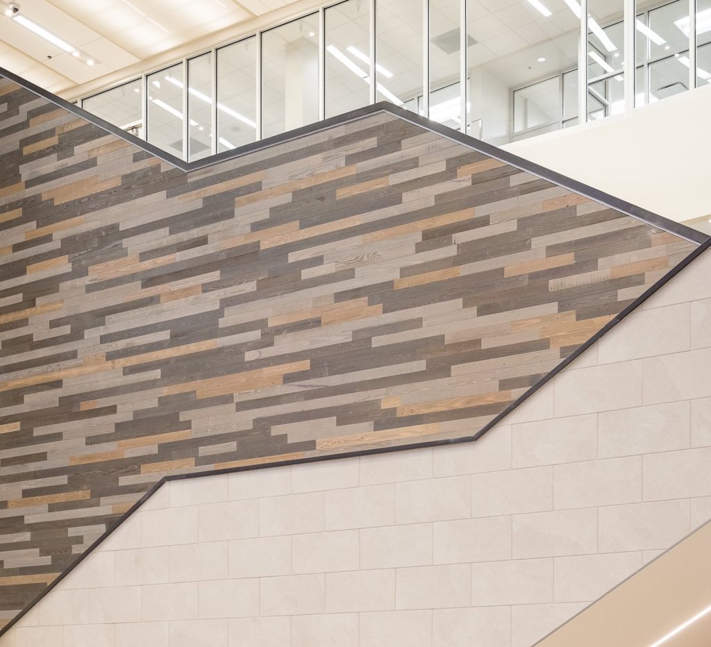 Windfall Lumber color cladding on wall with different colors and natural color at Olathe School