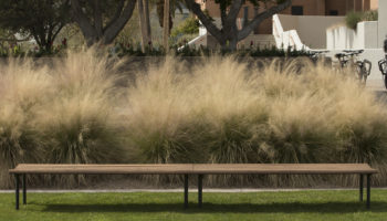 The Next Generation of Benching by Landscape Forms