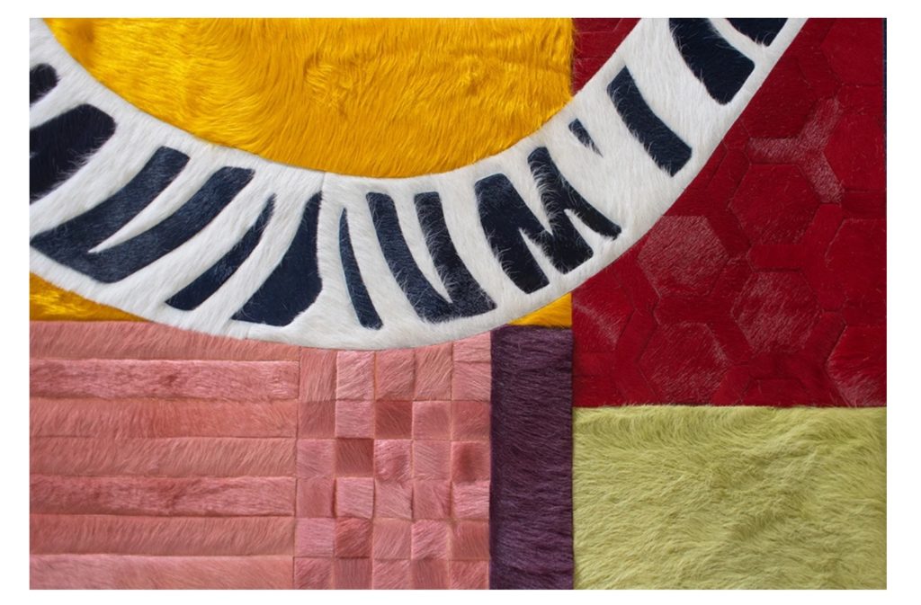 Fantastic Voyage Rug detail tiger tale with color blocks