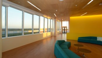 New WoodLine Collection from Akouo Acoustics