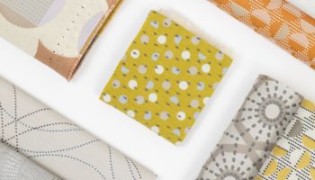 Brighter, Better Healthcare with Biophilia 2.0
