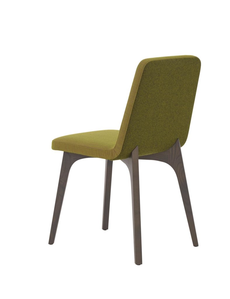 Vik 2 chair brown/green rear view