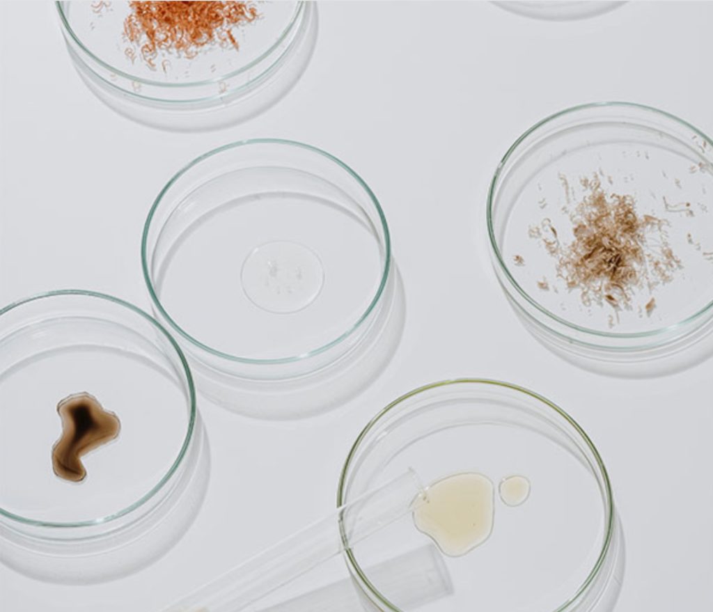 Nuez Lounge BIO side making polyme different petri dishes 