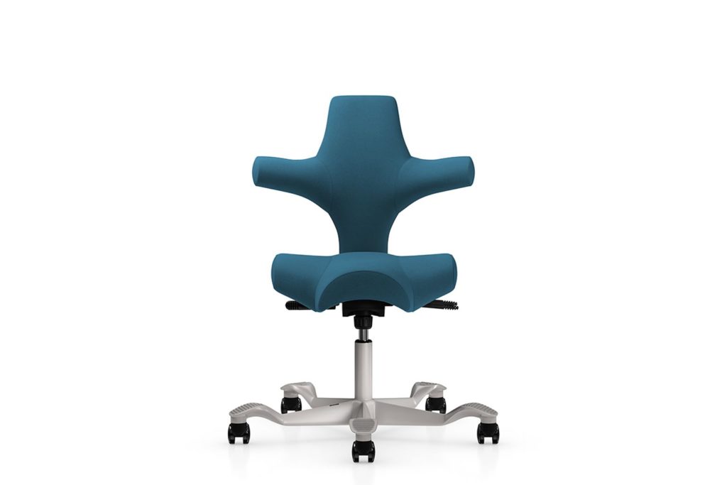 HÅG Capisco blue/green