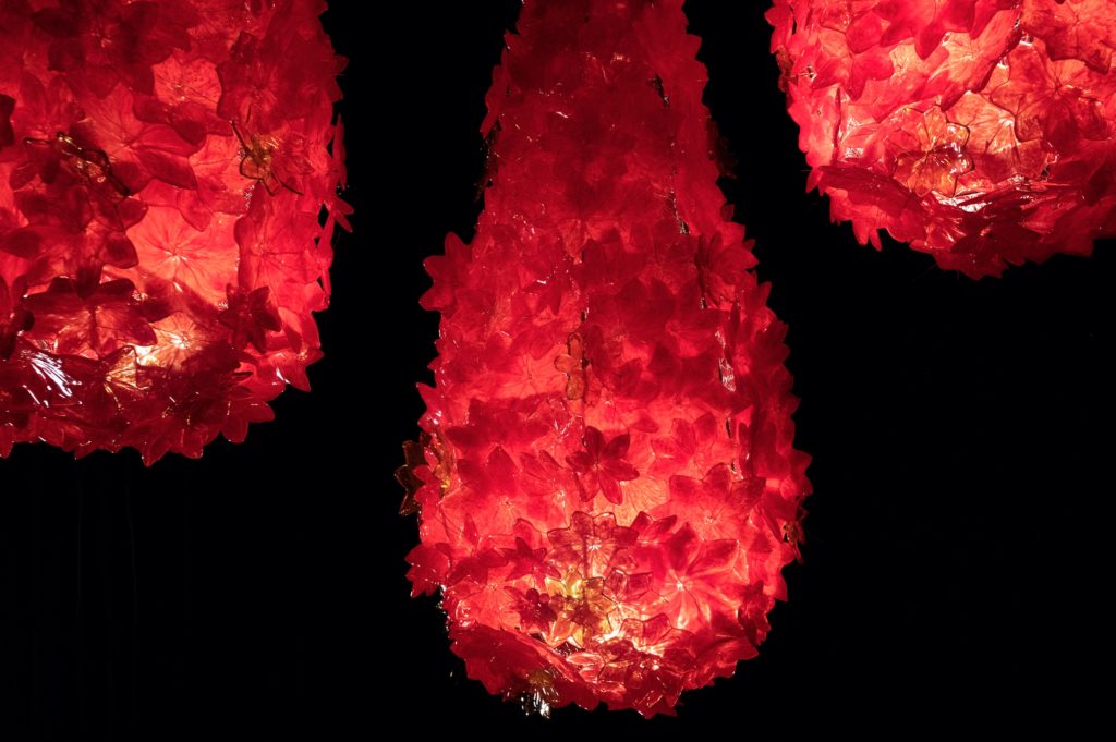 Luminia Naturae Nepenta close-up red floral forms lit from within