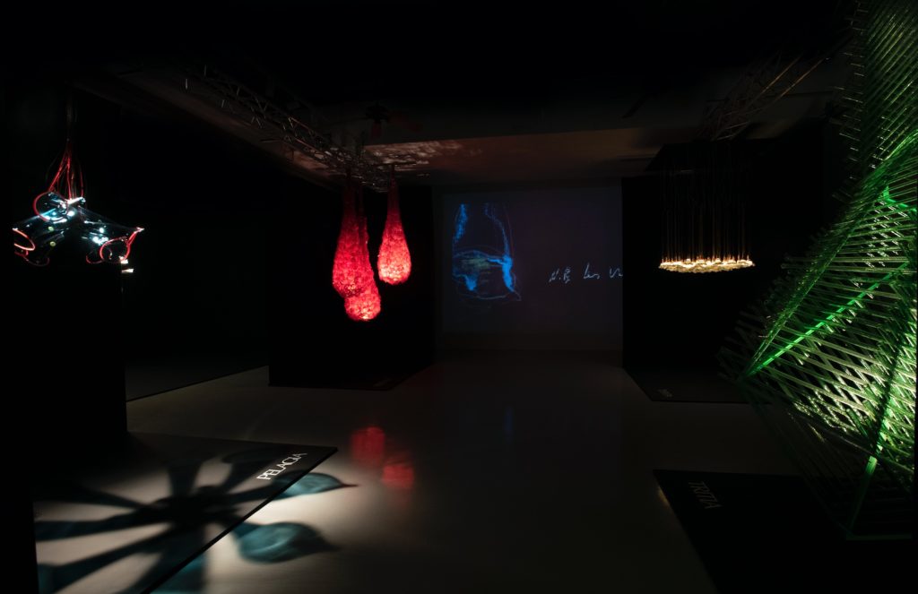 Lumina Naturae Pelagia, Nepenta, and Tritia light sculptures
