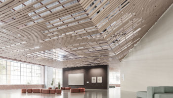 Beautiful Sound Absorption by TURF