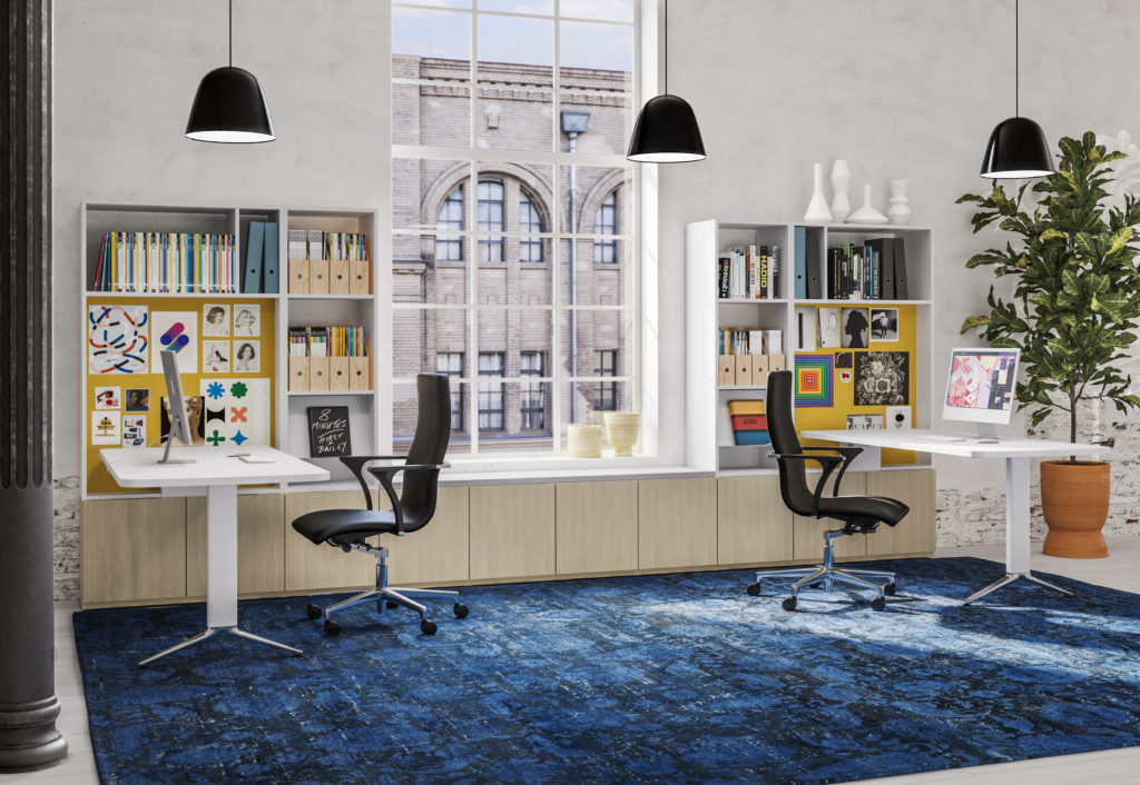 EverySpace back-to-back individual workstations in room with blue carpet, white desks, bookcases, large plant and view out a window of brick building