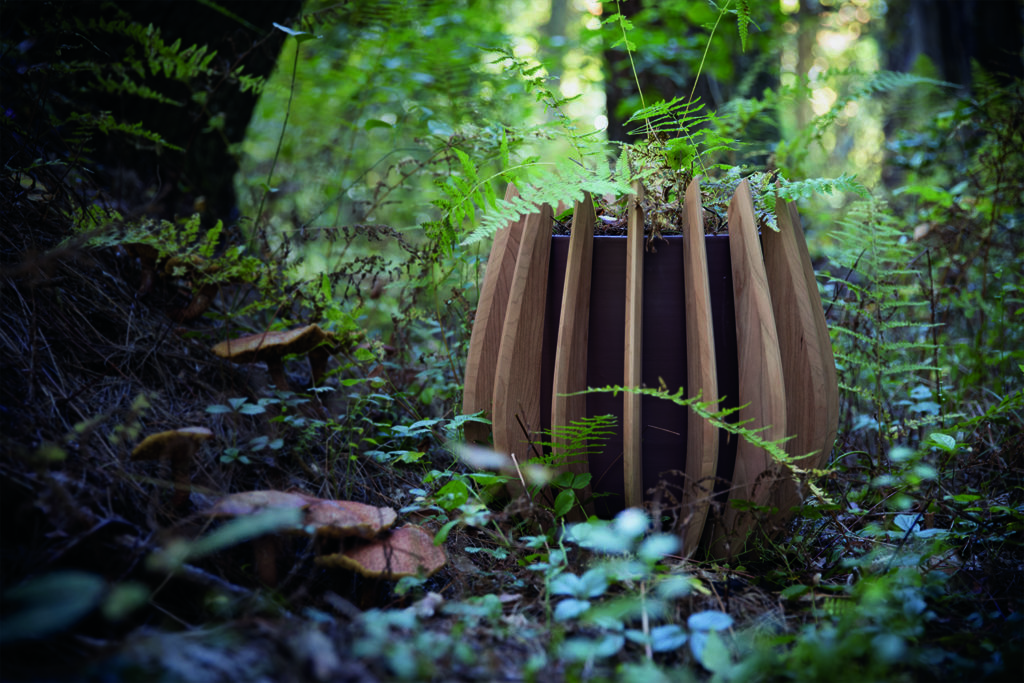 Concordic planter in the woods