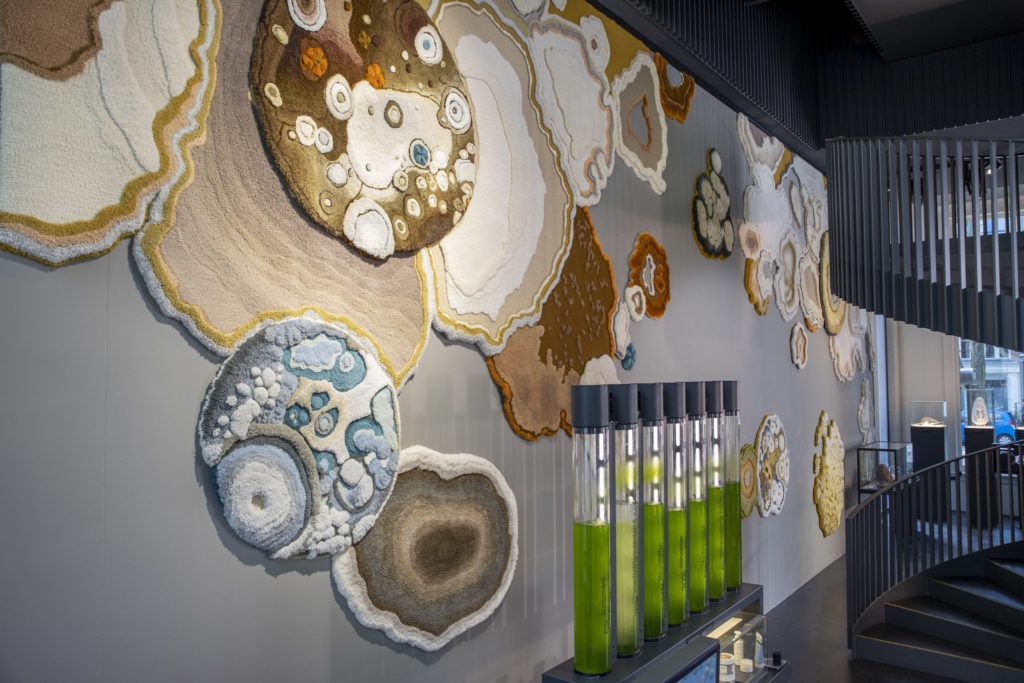 Launch Pad Fungal Wall view from side