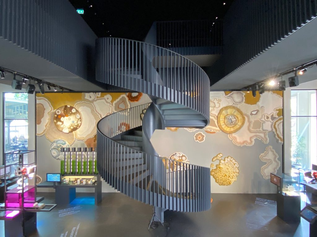 Launch Pad Fungal Wall display with spiral staircase in foreground