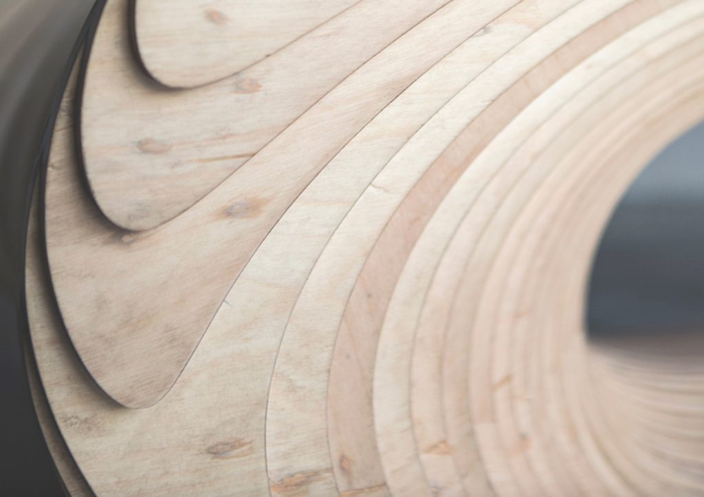 Betula chair in natural detail