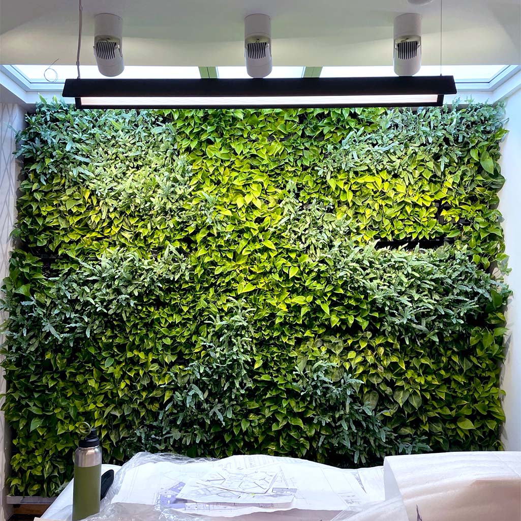 Lightglass above green wall in office 