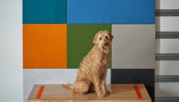 Cambio Means Changeable Architectural Panels