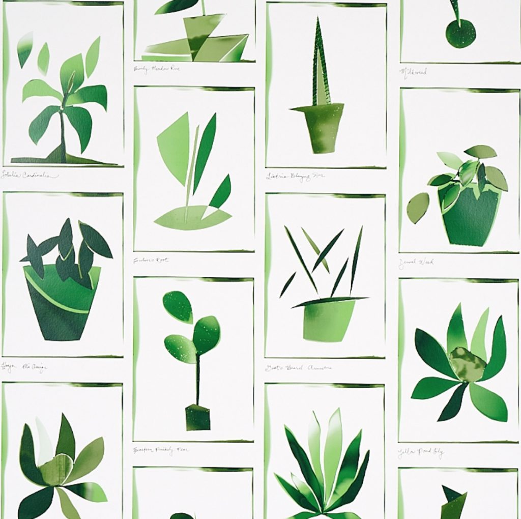 botanicals wallcovering