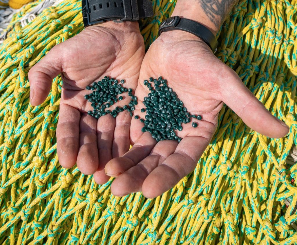 Seagrass material in hands with fishing net below