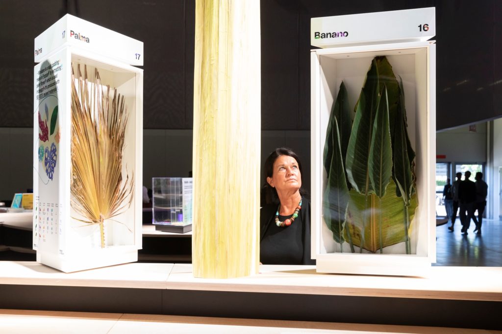 palm fronds and banana leaves