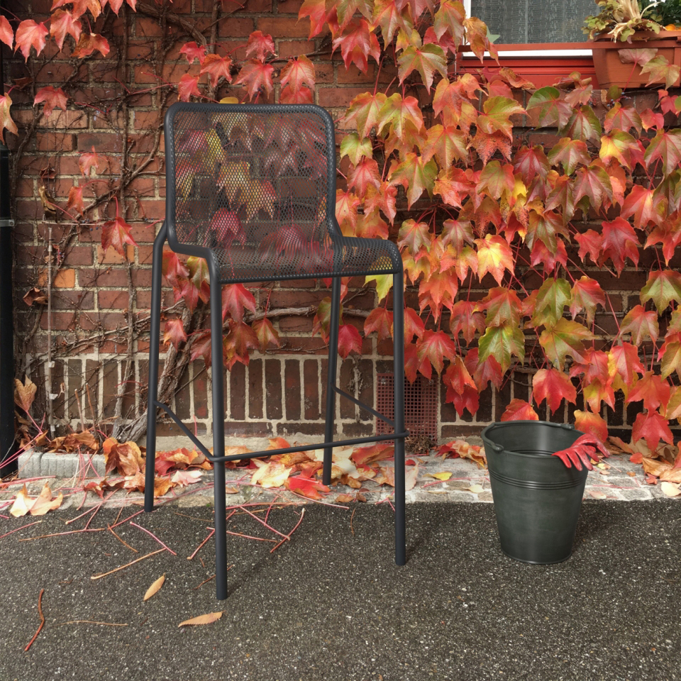 bar-height Momo outside with maple leaves