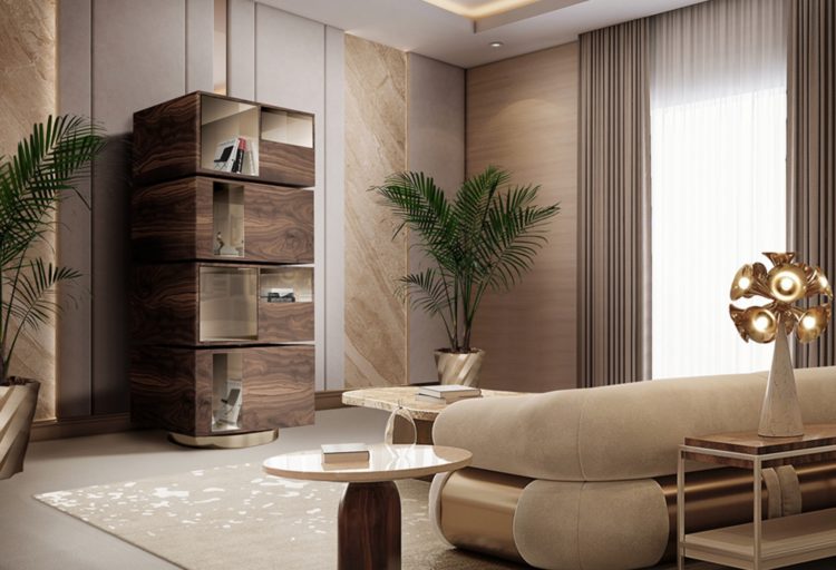 Biscotti bookcase in pleasant room with potted plant