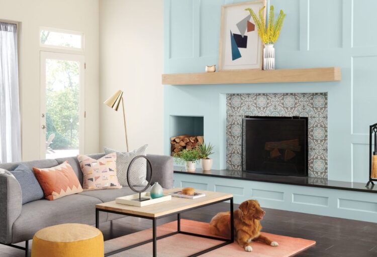 Super Paint dog in living room with Robin's Egg Blue wall